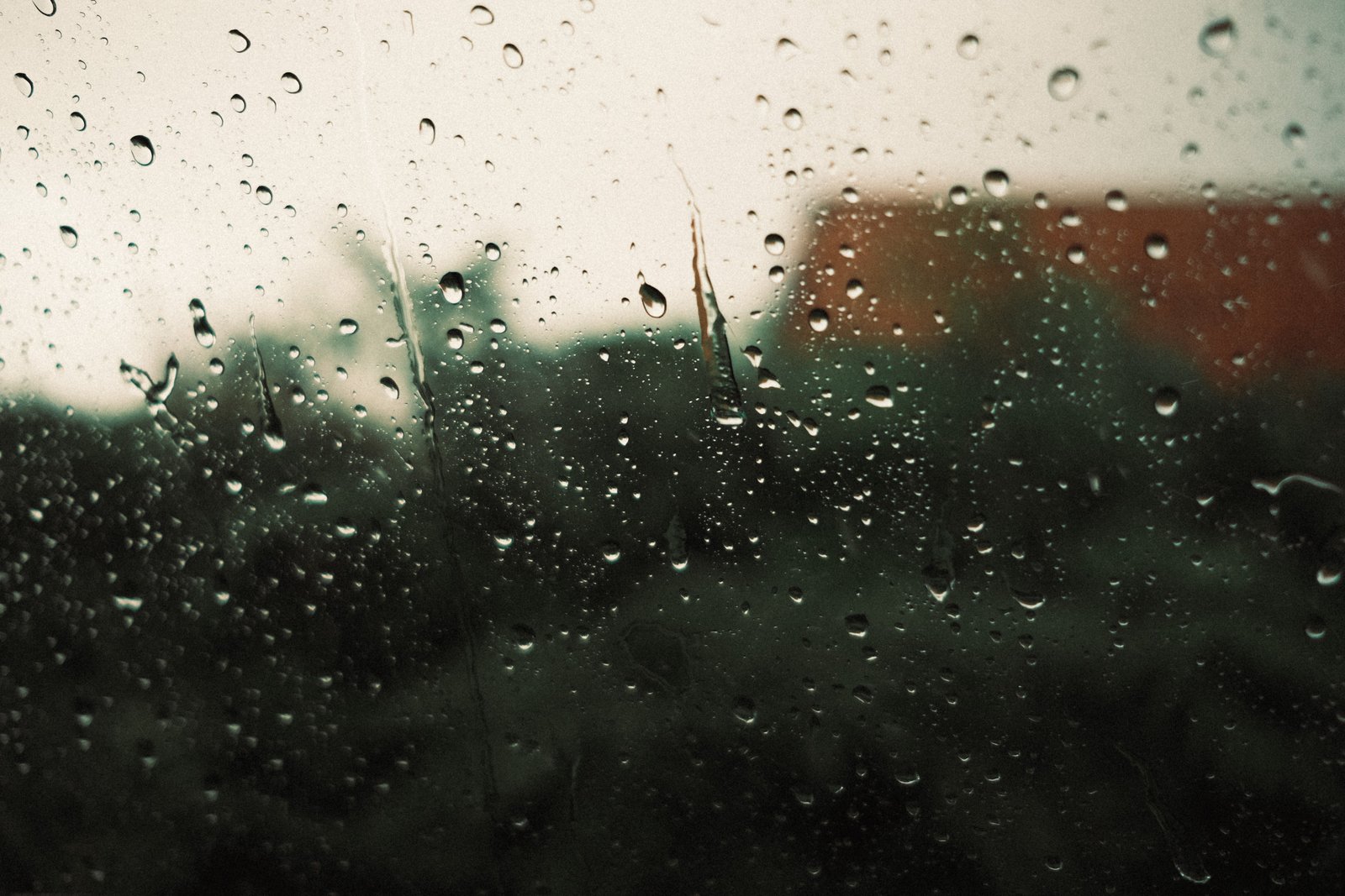 Outdoor Party Planning Guide: How to Prepare for Any Weather